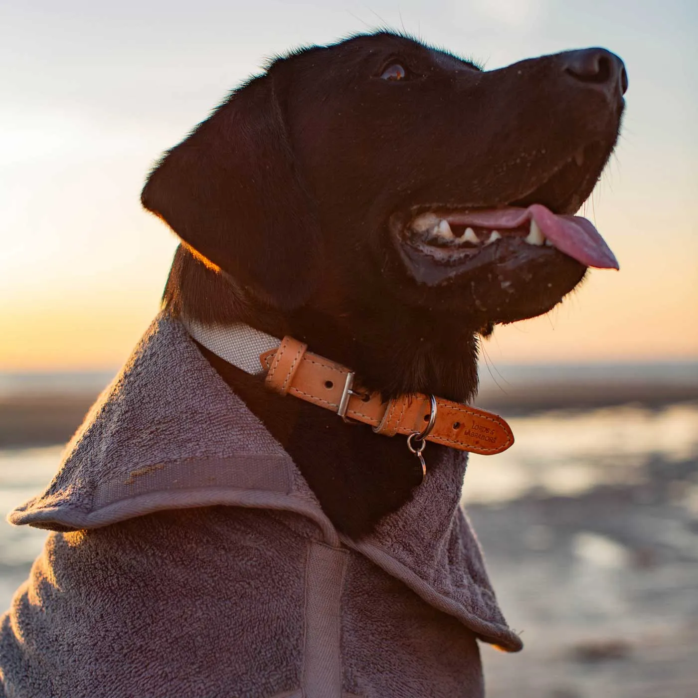 Bamboo Drying Coat in Gun Metal by Lords & Labradors