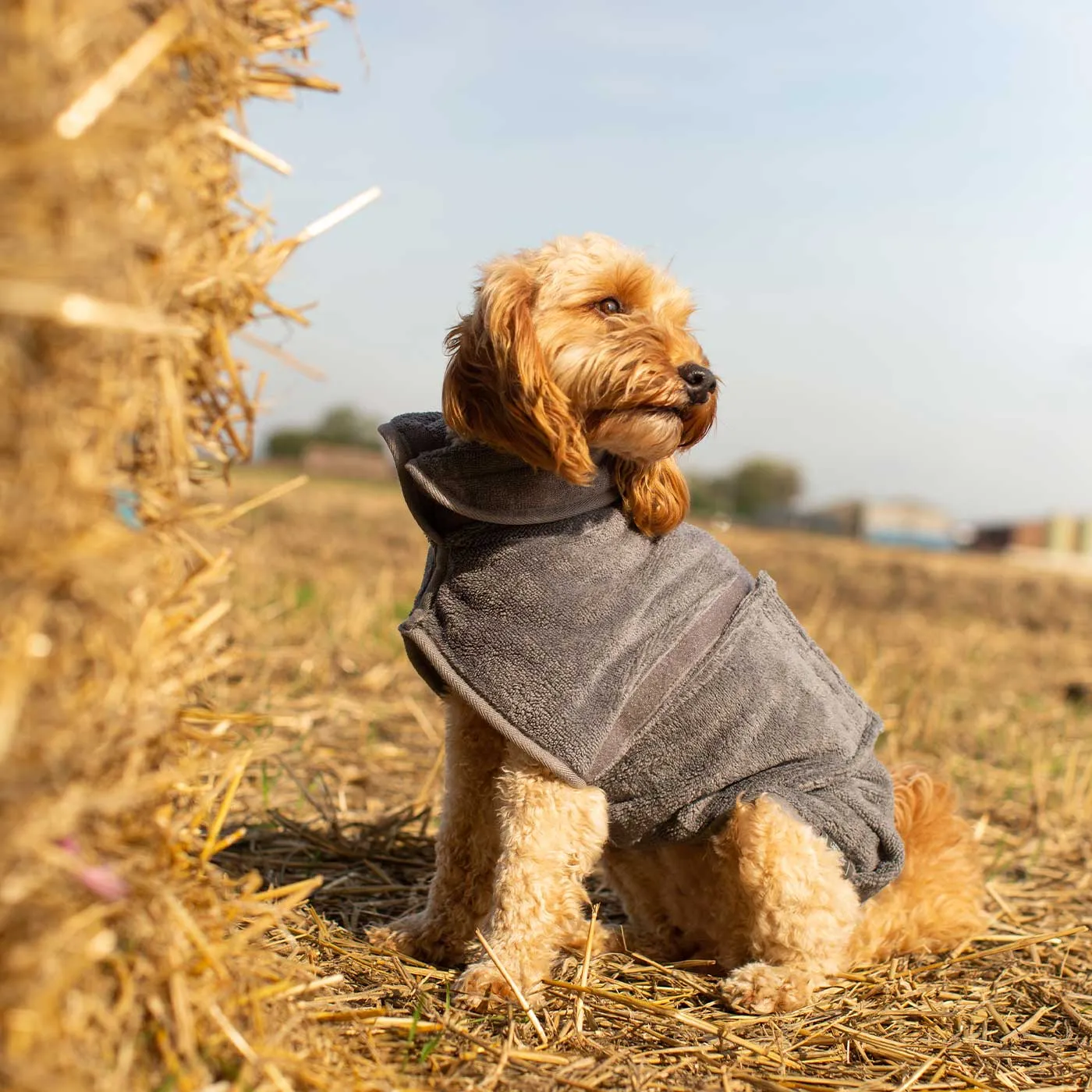 Bamboo Drying Coat in Gun Metal by Lords & Labradors