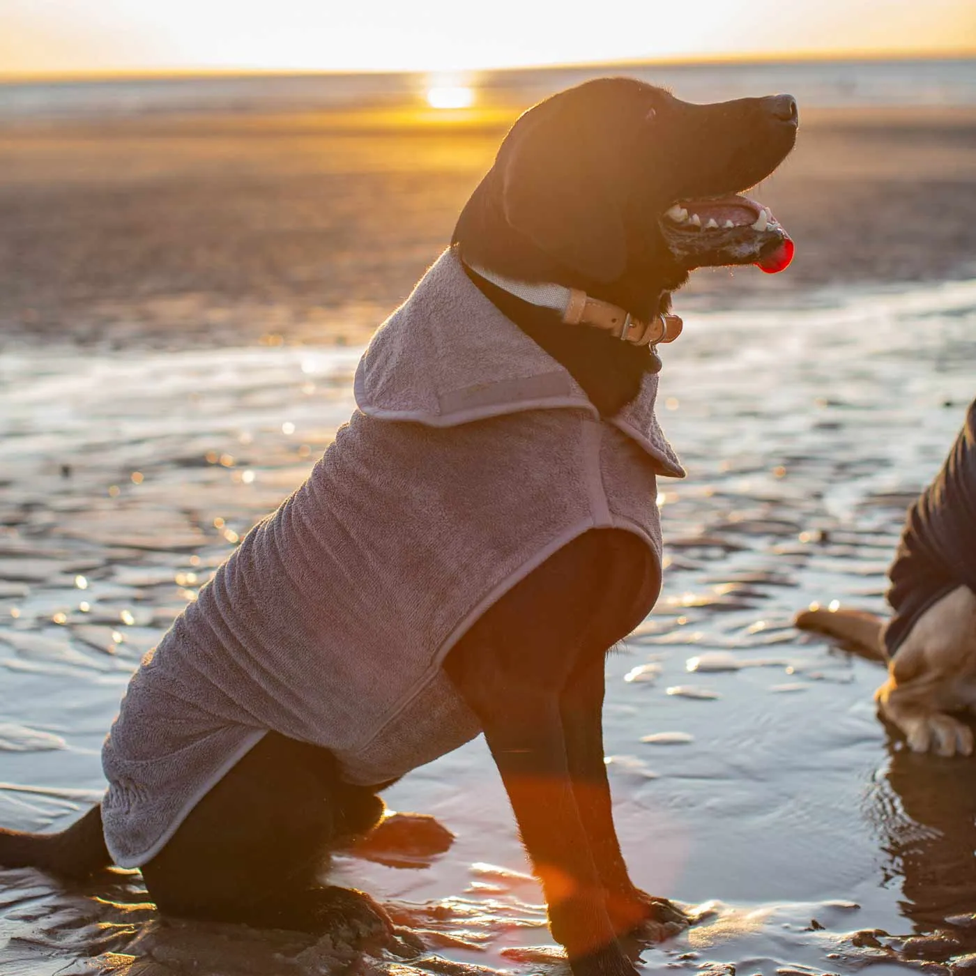 Bamboo Drying Coat in Gun Metal by Lords & Labradors