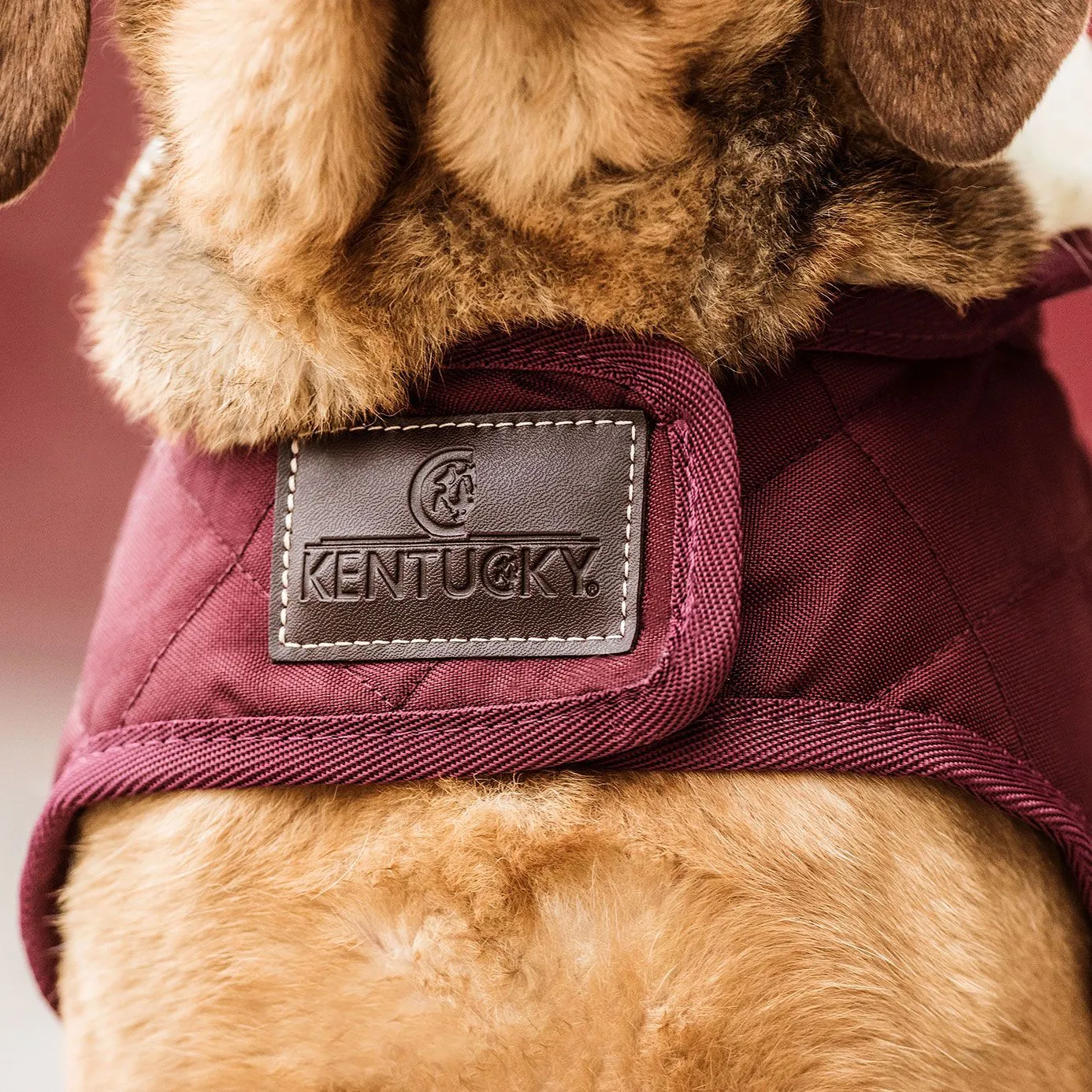 Kentucky Dogwear Dog Coat - Bordeaux