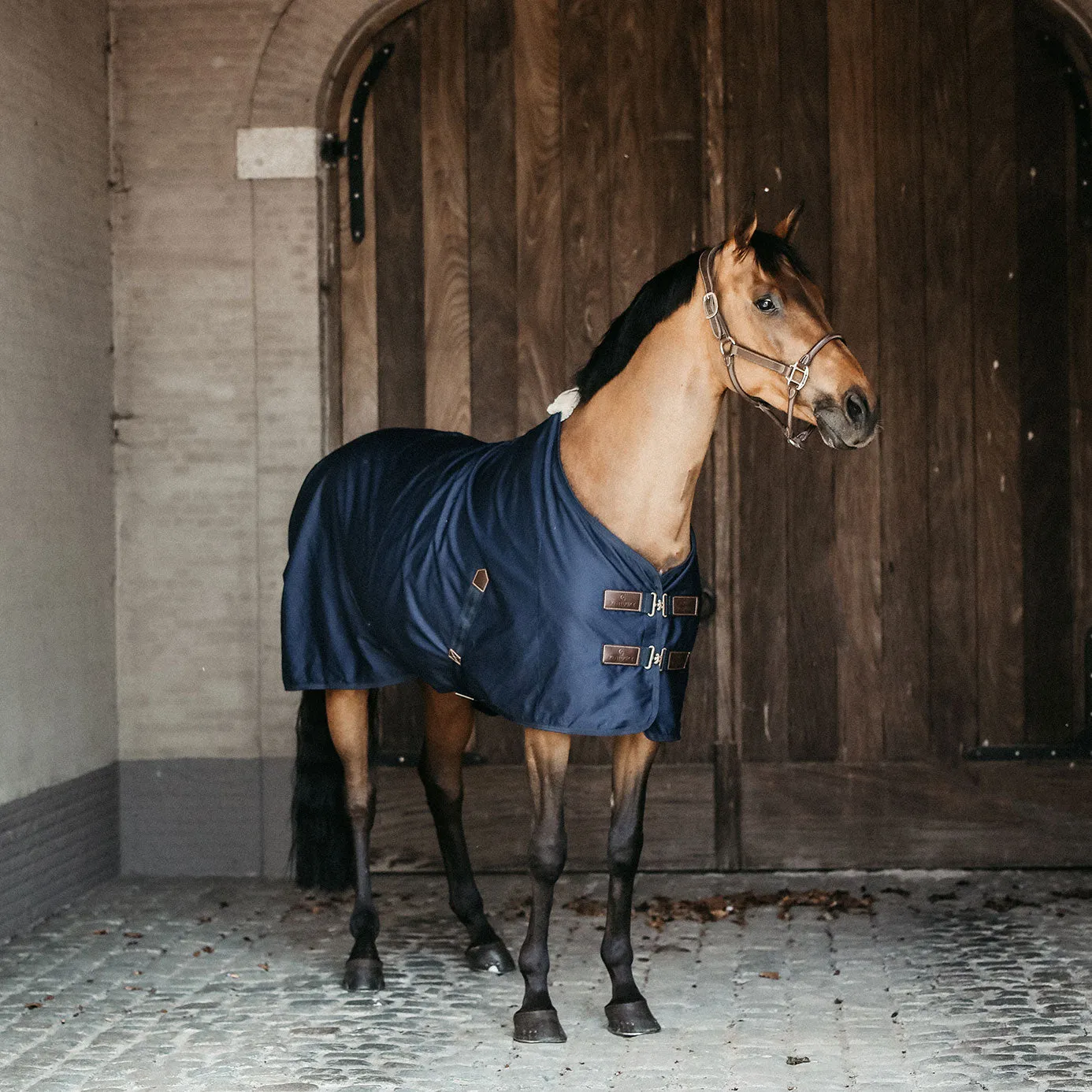 Kentucky Horsewear Cotton Sheet - Navy