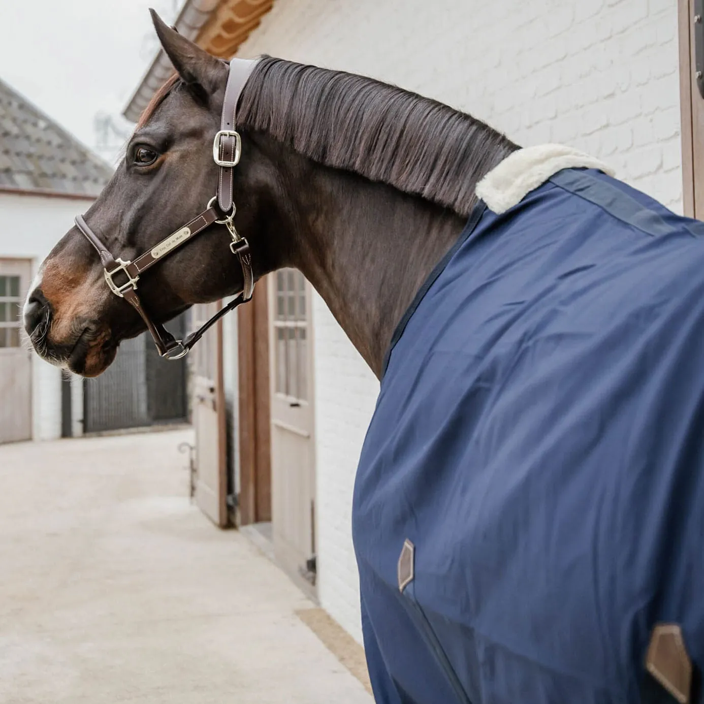 Kentucky Horsewear Cotton Sheet - Navy