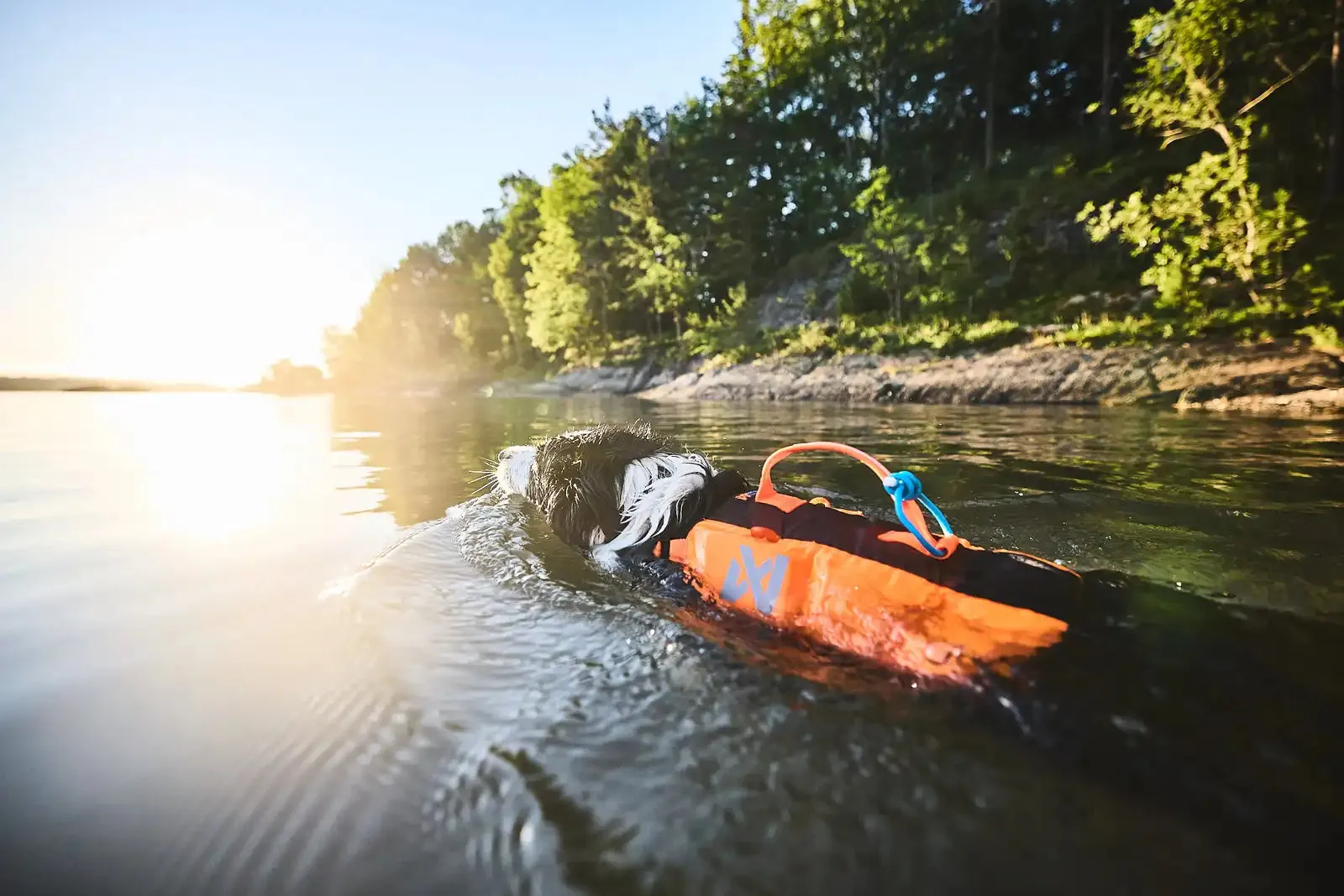 Non-stop - Protector Life Jacket *Black Friday Offer*