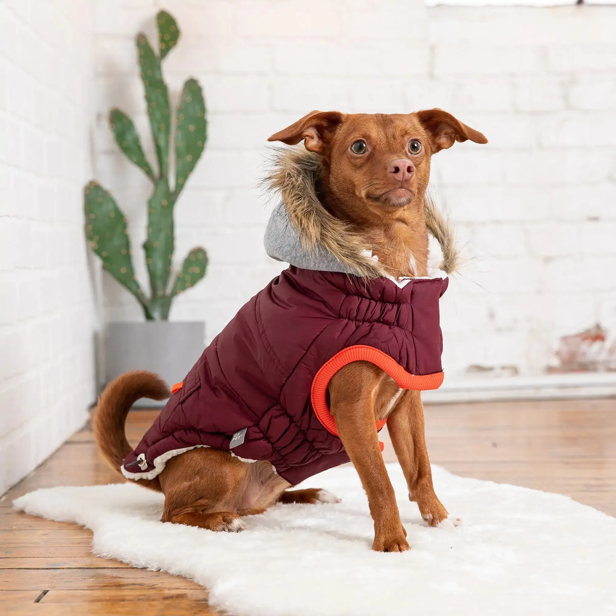 Winter Sailor Dog Parka, Sherpa fleece lining - Burgundy